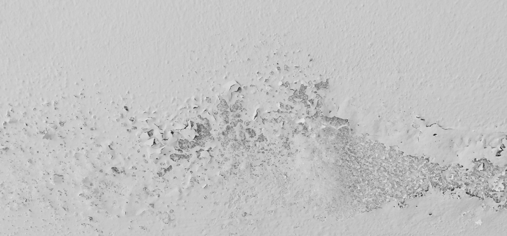 The Mold Mystery